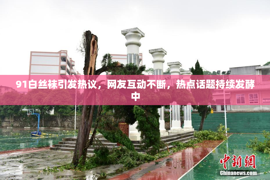 91白丝袜引发热议，网友互动不断，热点话题持续发酵中