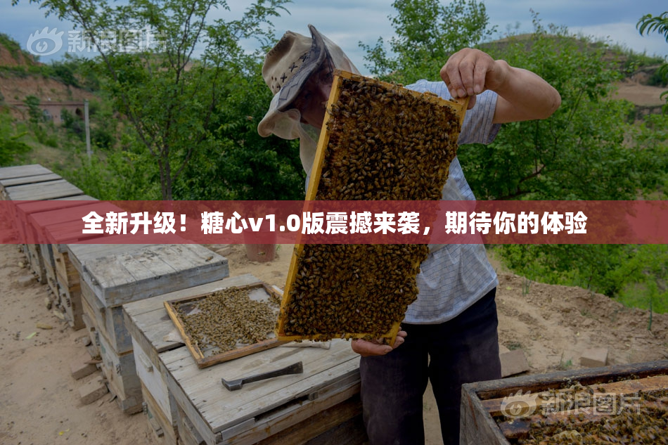 全新升级！糖心v1.0版震撼来袭，期待你的体验