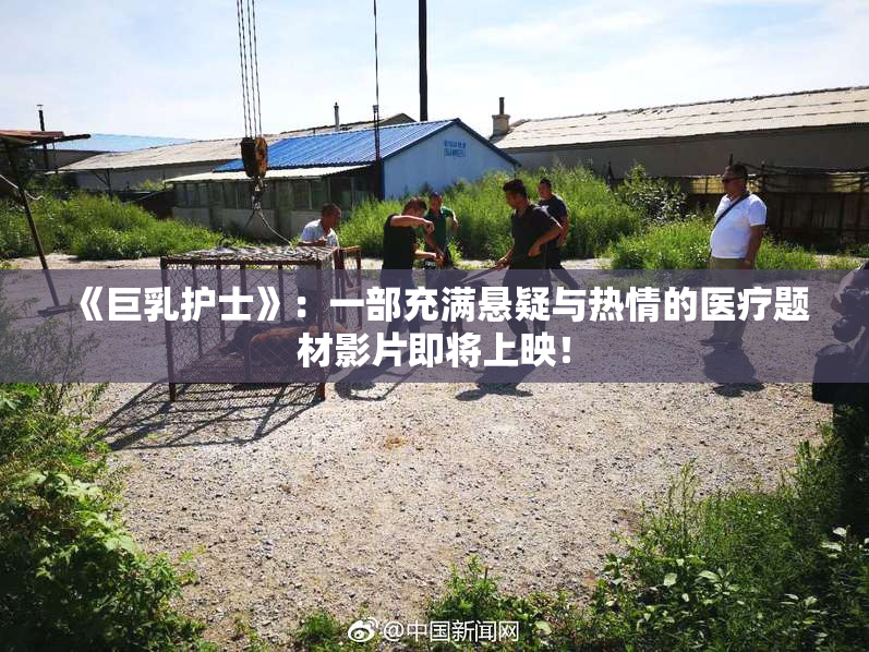 《巨乳护士》：一部充满悬疑与热情的医疗题材影片即将上映！