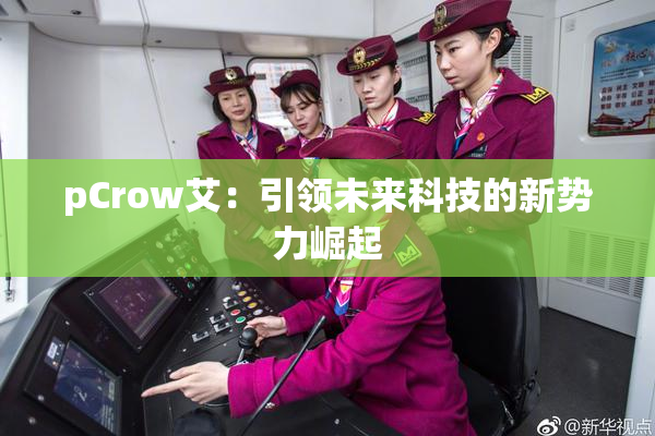 pCrow艾：引领未来科技的新势力崛起