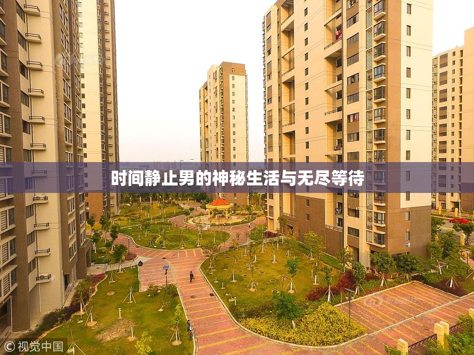 时间静止男的神秘生活与无尽等待