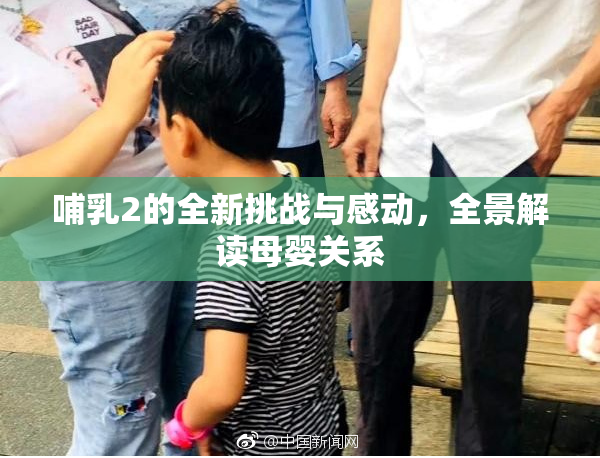 哺乳2的全新挑战与感动，全景解读母婴关系