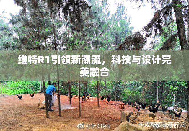 维特R1引领新潮流，科技与设计完美融合