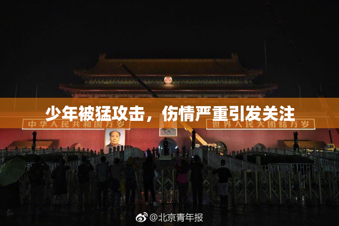 少年被猛攻击，伤情严重引发关注