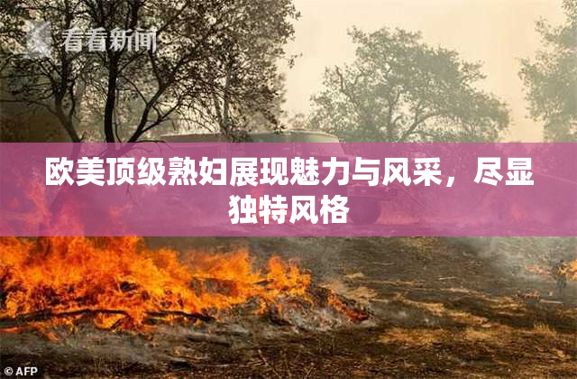 欧美顶级熟妇展现魅力与风采，尽显独特风格