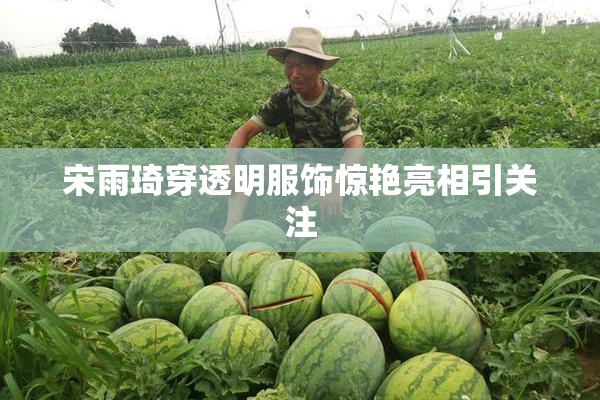 宋雨琦穿透明服饰惊艳亮相引关注