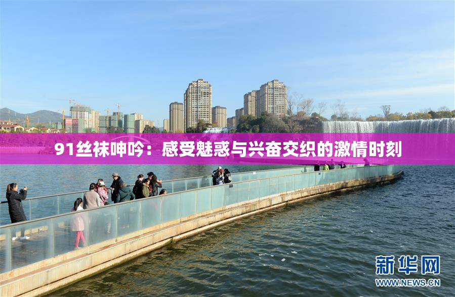 91丝袜呻吟：感受魅惑与兴奋交织的激情时刻