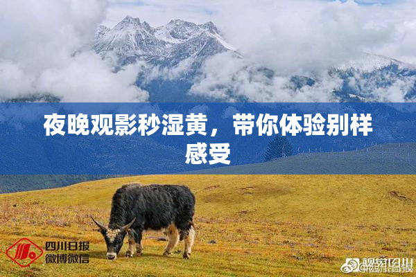 夜晚观影秒湿黄，带你体验别样感受