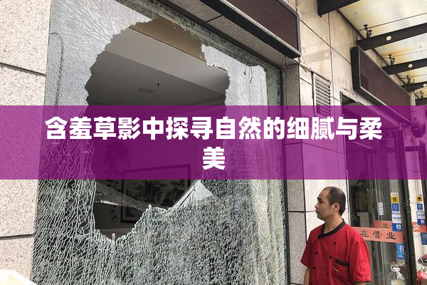 含羞草影中探寻自然的细腻与柔美
