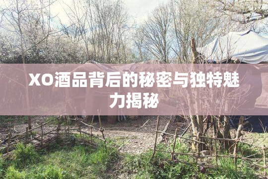XO酒品背后的秘密与独特魅力揭秘
