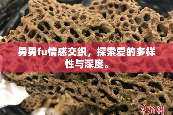 男男fu情感交织，探索爱的多样性与深度。
