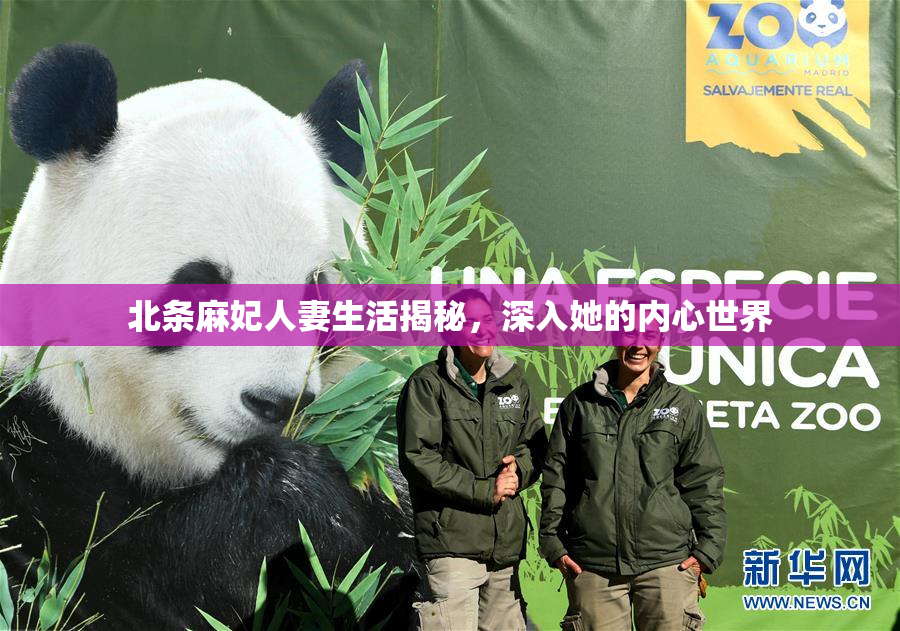北条麻妃人妻生活揭秘，深入她的内心世界