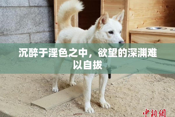 沉醉于淫色之中，欲望的深渊难以自拔