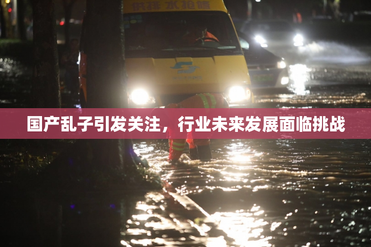 国产乱子引发关注，行业未来发展面临挑战