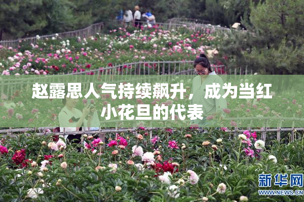 赵露思人气持续飙升，成为当红小花旦的代表