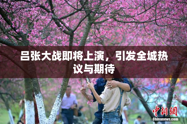 吕张大战即将上演，引发全城热议与期待