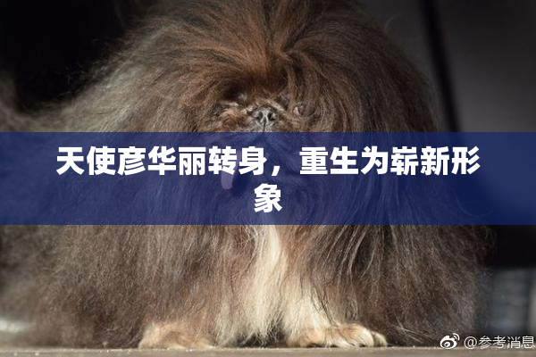 天使彦华丽转身，重生为崭新形象