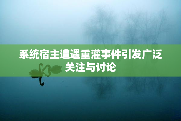 系统宿主遭遇重灌事件引发广泛关注与讨论