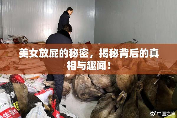 美女放屁的秘密，揭秘背后的真相与趣闻！
