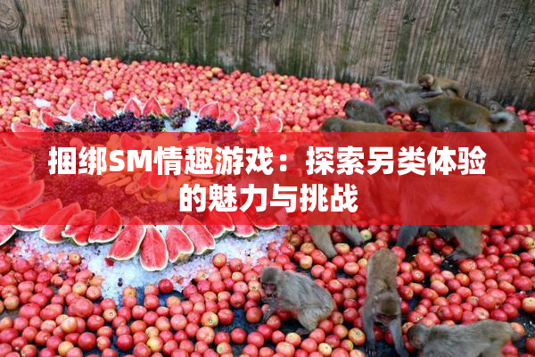 捆绑SM情趣游戏：探索另类体验的魅力与挑战