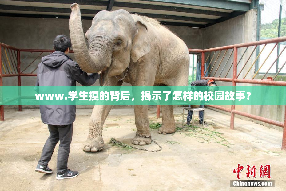 www.学生摸的背后，揭示了怎样的校园故事？