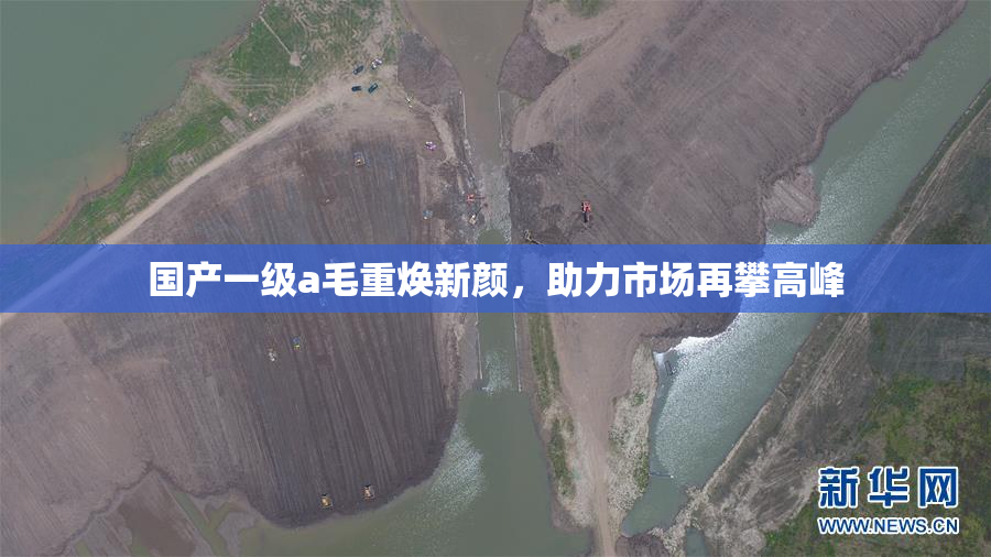 国产一级a毛重焕新颜，助力市场再攀高峰