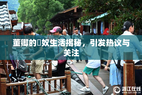 董卿的婬奴生活揭秘，引发热议与关注