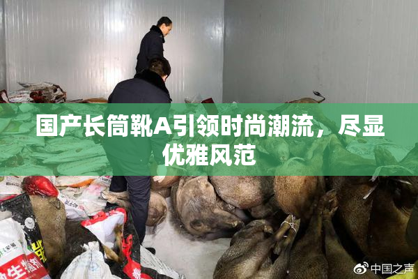 国产长筒靴A引领时尚潮流，尽显优雅风范