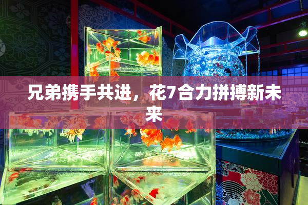 兄弟携手共进，花7合力拼搏新未来