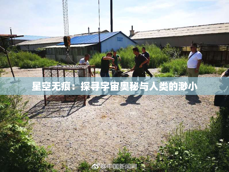 星空无痕：探寻宇宙奥秘与人类的渺小