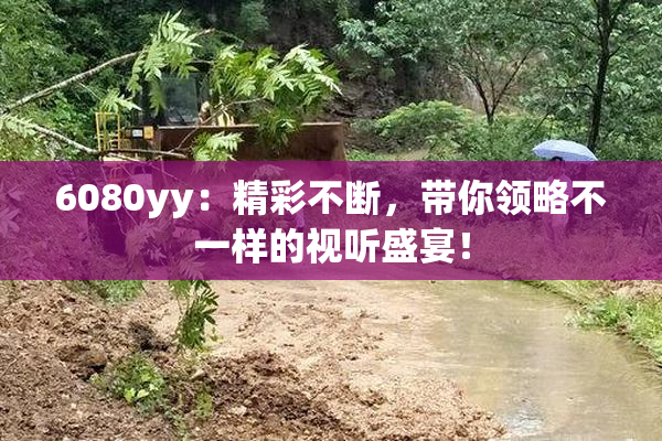 6080yy：精彩不断，带你领略不一样的视听盛宴！