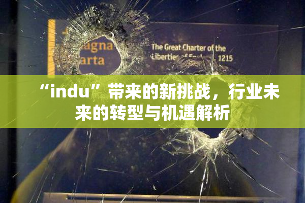 “indu”带来的新挑战，行业未来的转型与机遇解析