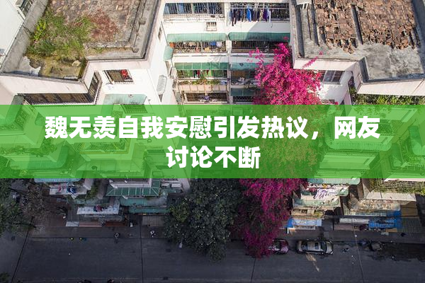 魏无羡自我安慰引发热议，网友讨论不断