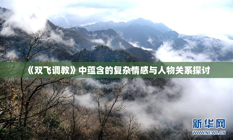 《双飞调教》中蕴含的复杂情感与人物关系探讨