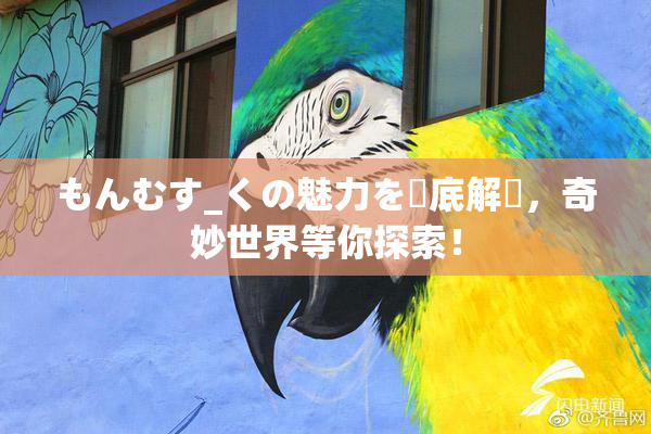 もんむす_くの魅力を徹底解説，奇妙世界等你探索！