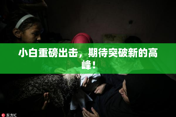 小白重磅出击，期待突破新的高峰！