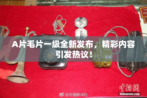 A片毛片一级全新发布，精彩内容引发热议！