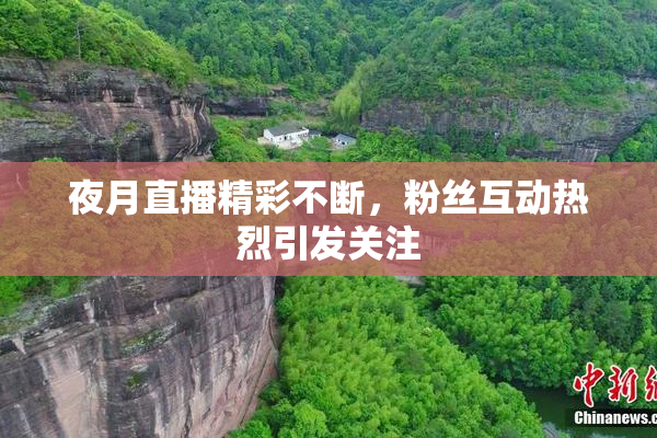 夜月直播精彩不断，粉丝互动热烈引发关注
