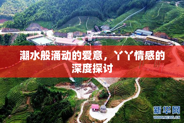 潮水般涌动的爱意，丫丫情感的深度探讨