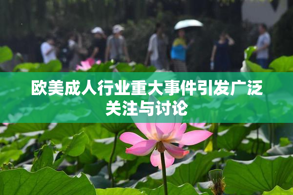 欧美成人行业重大事件引发广泛关注与讨论