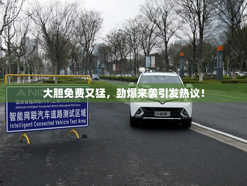 大胆免费又猛，劲爆来袭引发热议！