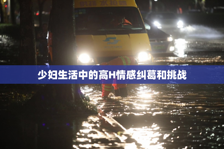 少妇生活中的高H情感纠葛和挑战