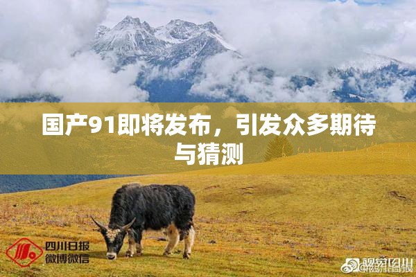 国产91即将发布，引发众多期待与猜测