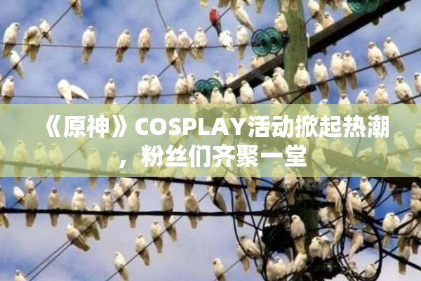 《原神》COSPLAY活动掀起热潮，粉丝们齐聚一堂