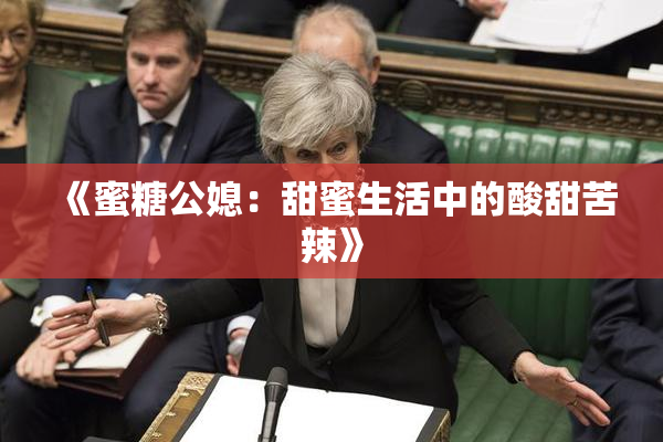 《蜜糖公媳：甜蜜生活中的酸甜苦辣》