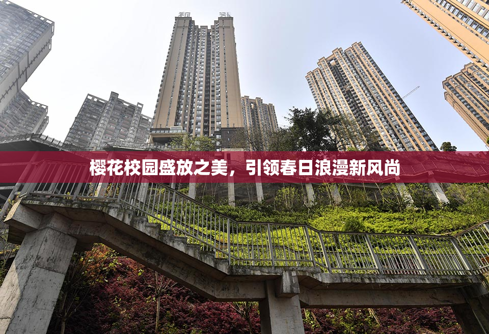 樱花校园盛放之美，引领春日浪漫新风尚