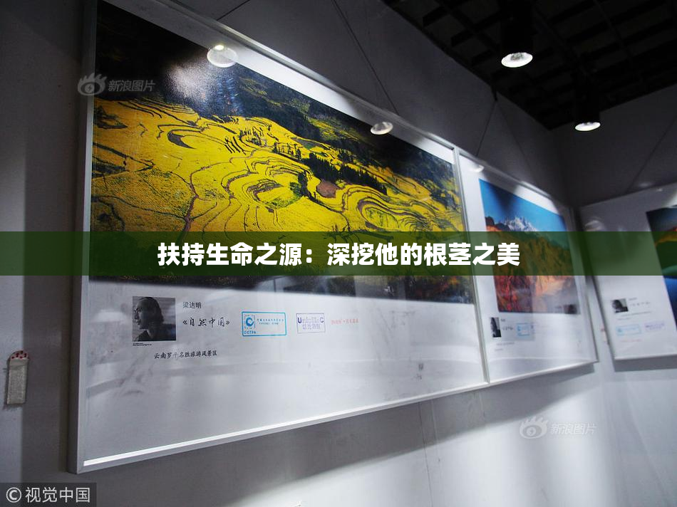 扶持生命之源：深挖他的根茎之美