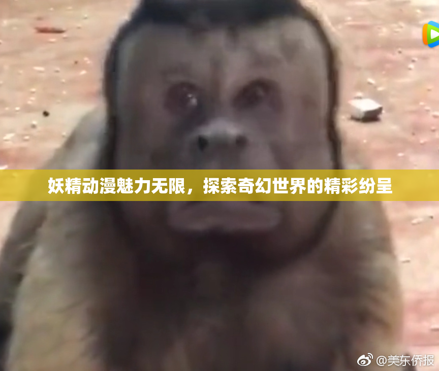 妖精动漫魅力无限，探索奇幻世界的精彩纷呈