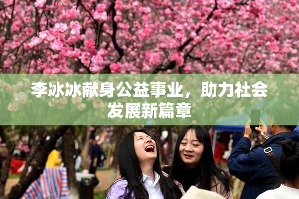 李冰冰献身公益事业，助力社会发展新篇章