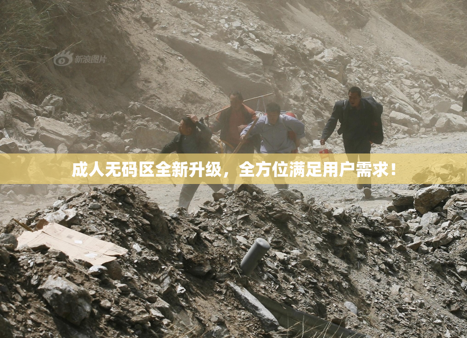 成人无码区全新升级，全方位满足用户需求！